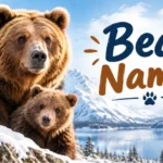 Bear Names With Name Generator