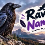 Raven Names With Name Generator